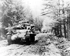 Moving Thru Hurtgen Forest Tank Destroyer World War II WWII WW2 8x10 Photo 917c