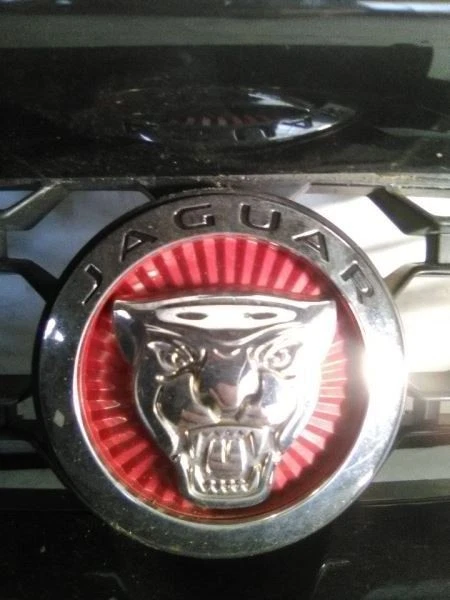 Jaguar 18-20 tipo F rejilla bandera a cuadros centro sin asistencia de estacionamiento  Foto 2 de 4