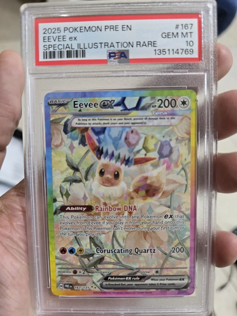 eevee pokemon card ebay Eevee Pokmon TCG Cards for sale