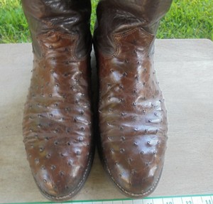 larry mahan ostrich boots