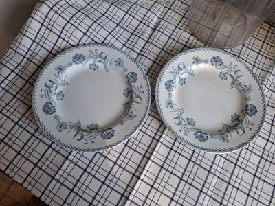 2 ANCIENNES ASSIETTES PLATES TERRE DE FER LUNEVILLE LUTECE KG - Photo 1/4