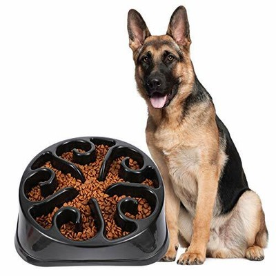 large dog slow feeder