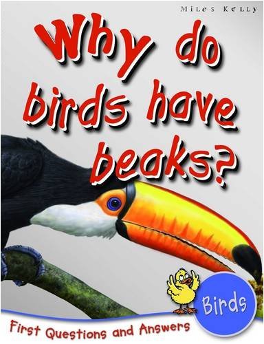 Birds: Why Do Birds Have Beaks? (First Questions And Answers) By - Picture 1 of 1