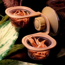 2 Pcs Water Dish for Reptile Tank Feeding Tray Hanging Bowl Lizard Food