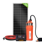 100W Panneau Solaire Kit+12V Solaire Pompe Submersible Pour Puits Profond