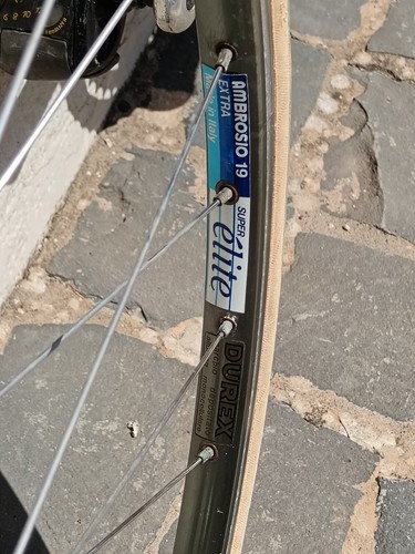 Bici Corsa Colnago Master Più 54*53.5 Campagnolo Delta C Record Acciaio Gilco - Imagen 21 de 24