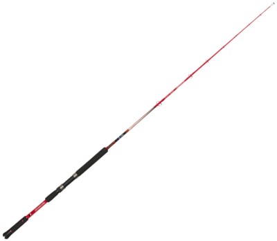 Angelrute Grundfischerei Linkshänder 1,65 MT Kali Ringe Fuji Fischen 50 200 Gr
