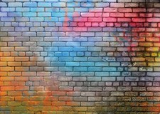 10x10ft Colorful Brick Wall Photo Backdrop Baby Birthday Wedding Party Photograp