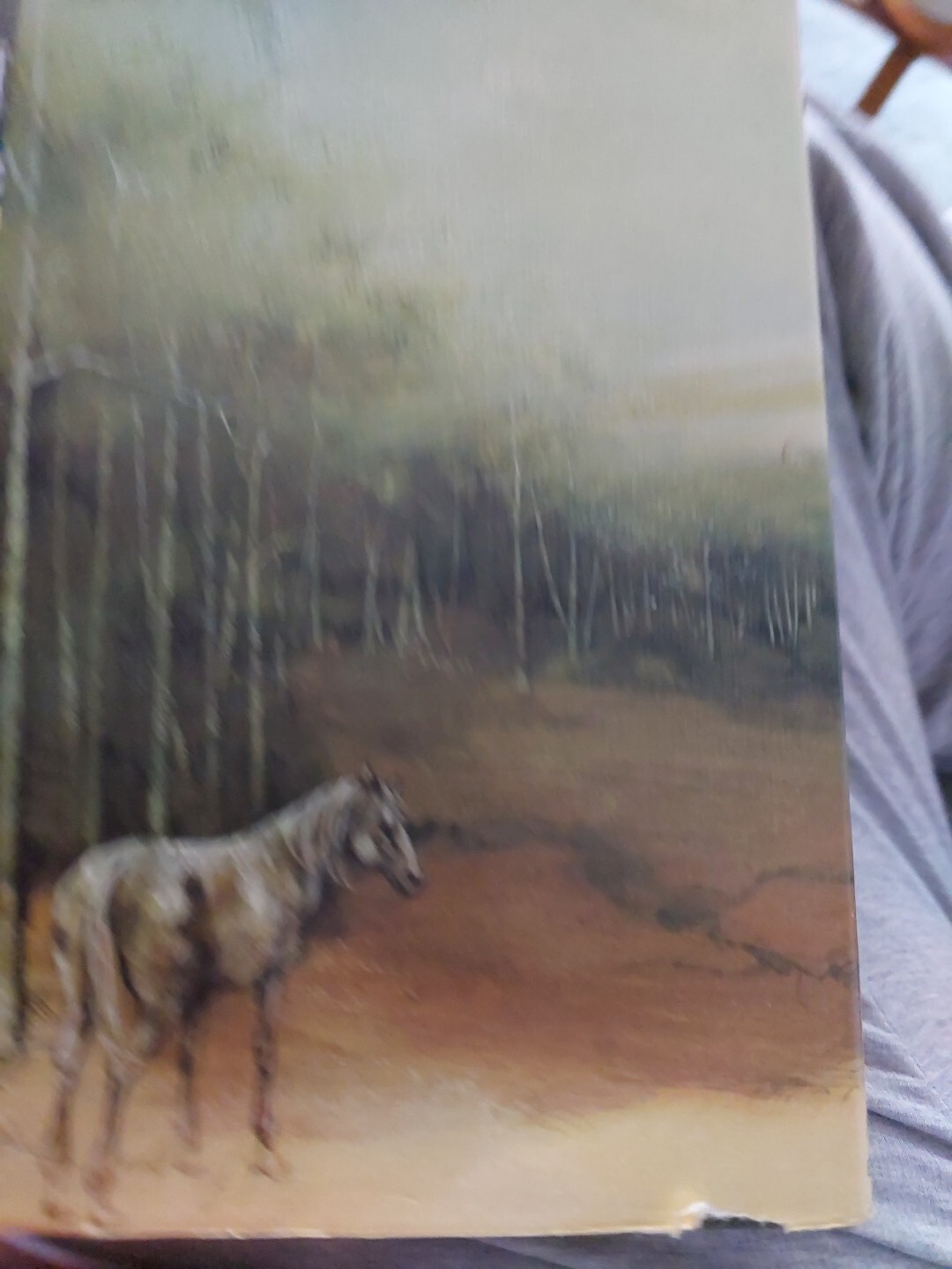 Picture 2 of 9
