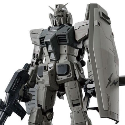 BANDAI MG 1/100 RX78FRGMT Mobile Suit GUNDAM Fragment