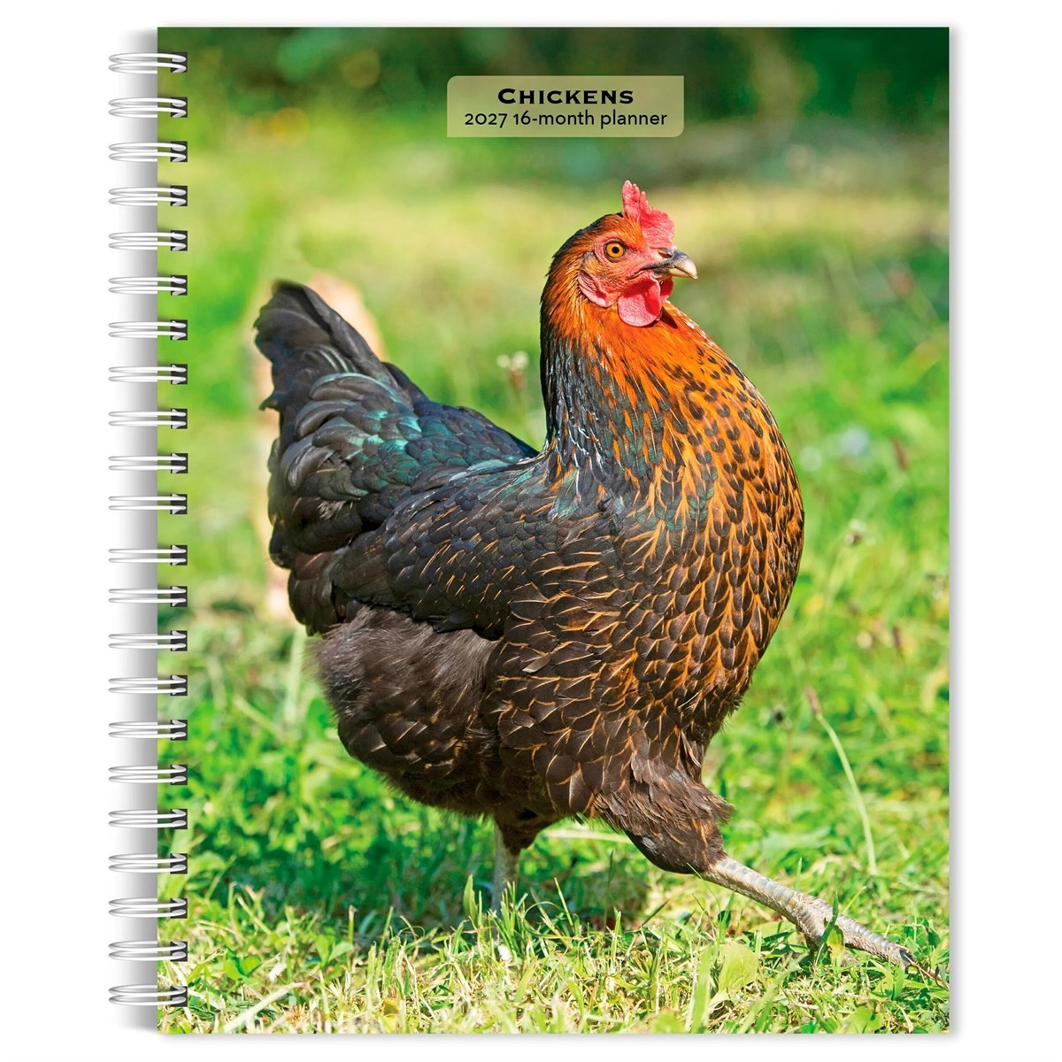 Chickens A5 Diary 2027, General Diaries, Week To View, Animals, Gift - Image 2