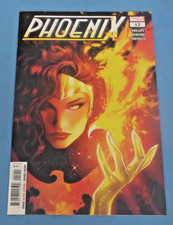Cover of Phoenix #12