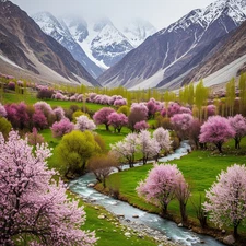 Photo Digital Product Wallpaper Image Picture Background for a print