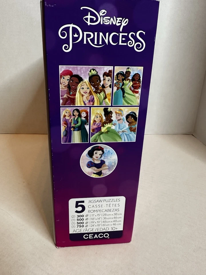 Ceaco - 5 合 1 多层 - 迪士尼公主 - (2) 300 件 — 第 3/4 张图片