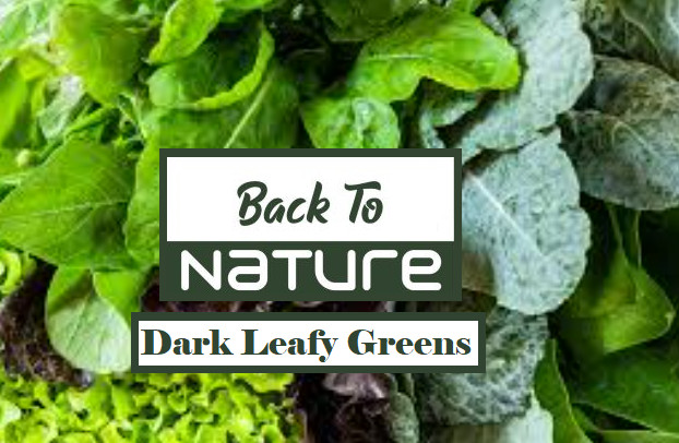 Dark Leafy Greens Microgreens - Seed Blend - Organic & Non Gmo - Heirloom Seeds