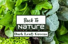 Dark Leafy Greens Microgreens - Seed Blend - Organic & Non Gmo - Heirloom Seeds 