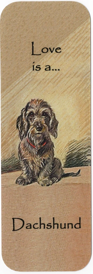 K9-KARDS WIRE HAIRED DACHSHUND BEAUTIFUL DOG BOOKMARK SAME IMAGE BOTH SIDES GREAT GIFT
