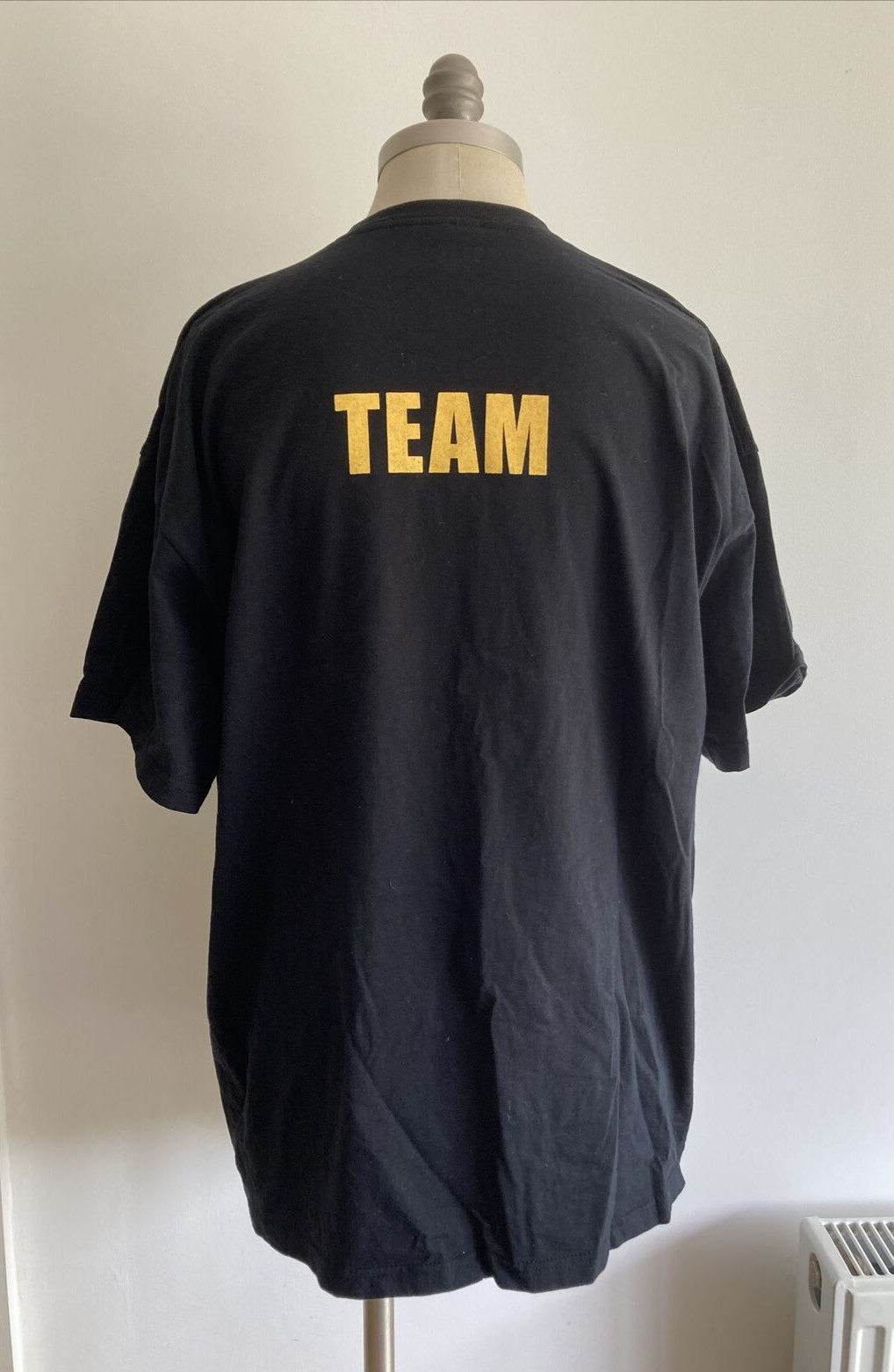 Vintage Fruit of the Loom Scout Team T-Shirt Uniform 2010 Centenary Issue 4