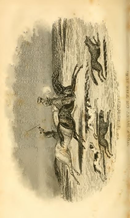 Picture 6 of 6