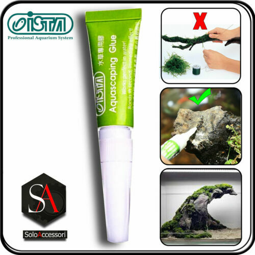 2Pcs Moss Removal Deck Crevice Tool, Moss Remover Brush