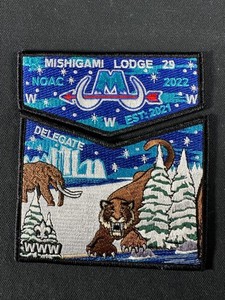 BSA Boy Scouts OA Mishigami Lodge 29 2022 NOAC DELEGATE MI Crossroads