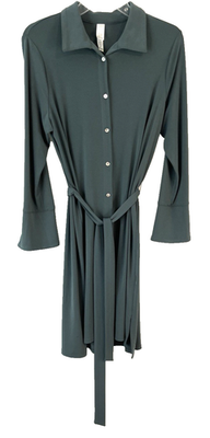 Marla Wynne Belted Shirt Dress Sz M Green Button Front Long Sleeve Women  WJ5 | eBay