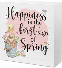 Spring Farmhouse Shelf Decor for Home Spring Sign Decorations Home Office Cubicl