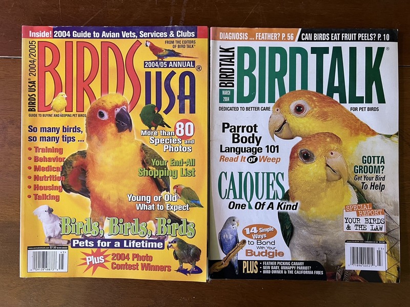 BIRD TALK MAGAZINE March 2004 Birds USA 2004/05 Annual #BT1