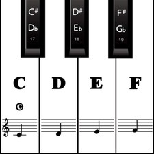 Piano Keyboard Stickers for Beginners, Reusable Protective Piano Key Labels...