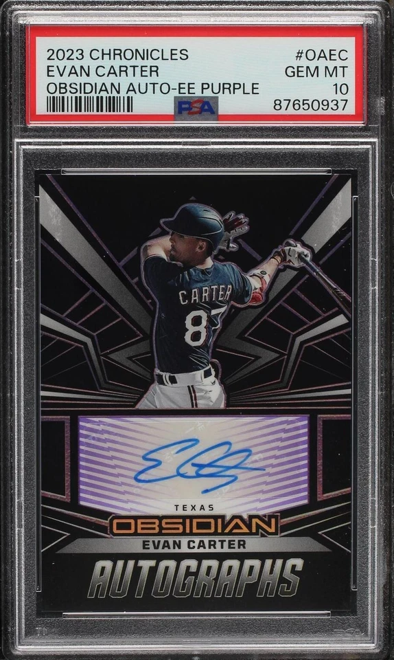 Electric Etch Purple