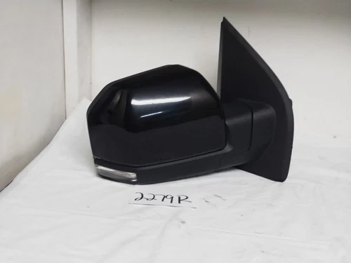 2015-2020 F150 Platinum Black Passenger Right Side View Mirror BLISS Camera