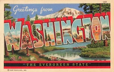 Postcard Greetings Washington Large Letters Evergreen State posted 1941 WA Linen