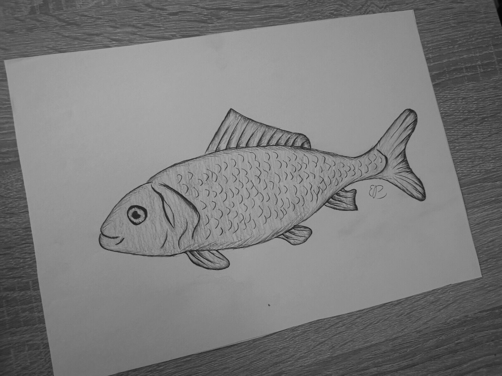 Fish Drawing Original Art Size A4