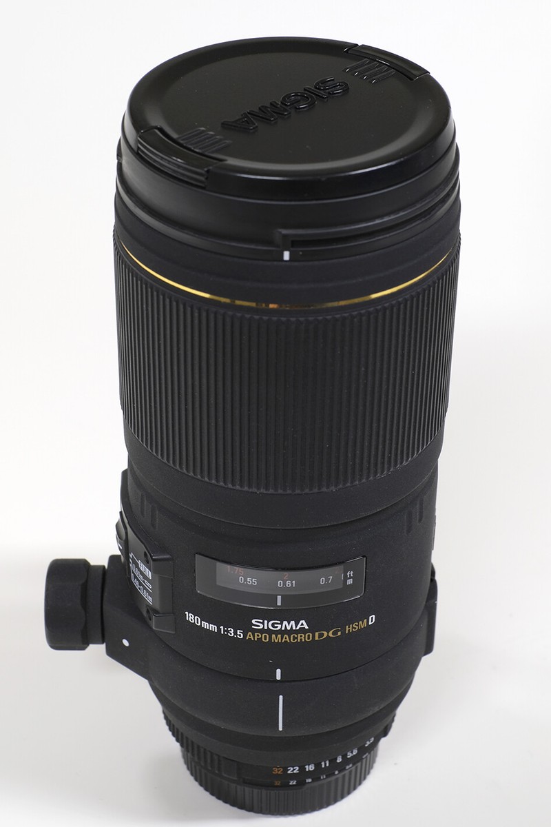 Sigma EX DG APO Macro 180 f3.5 HSM for Nikon F | eBay