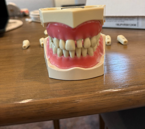 columbia dentoform PVR-8612-KM 860 removable teeth