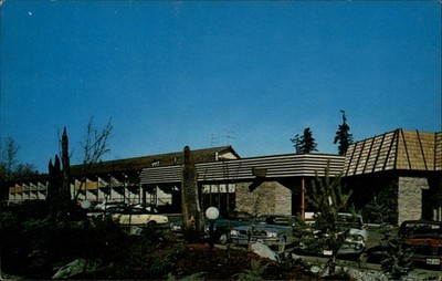 Thunderbird Motel Bellevue Washington vintage postcard f867