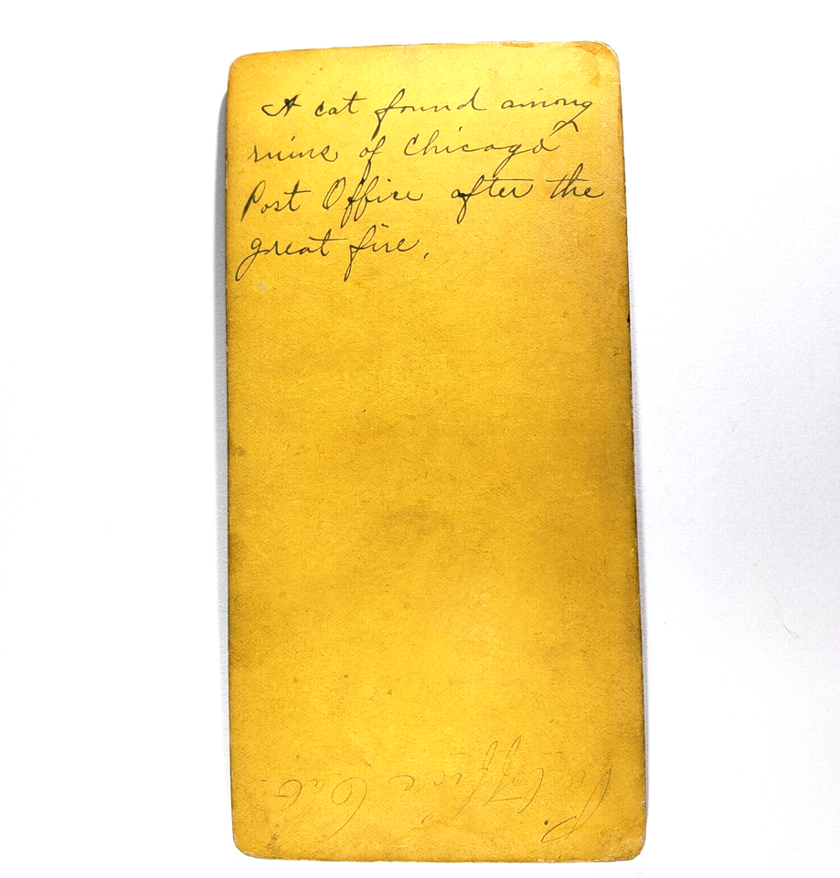 1871 Chicago Fire Stereoview Cat Rescue From Post Office Ruins 1871-chicago-fire-stereoview-cat-rescue-from-post-office-ruins