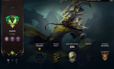 League of Legends und Valorant Account EUW
