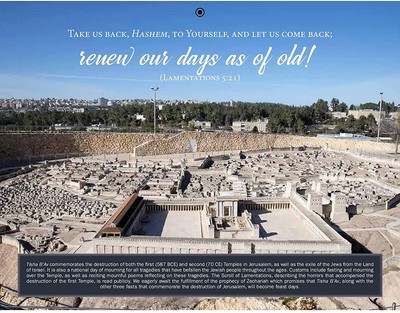 Israel365 2021-2022 16 Month Jewish Calendar and Holiday Guide - Special  Edition | eBay