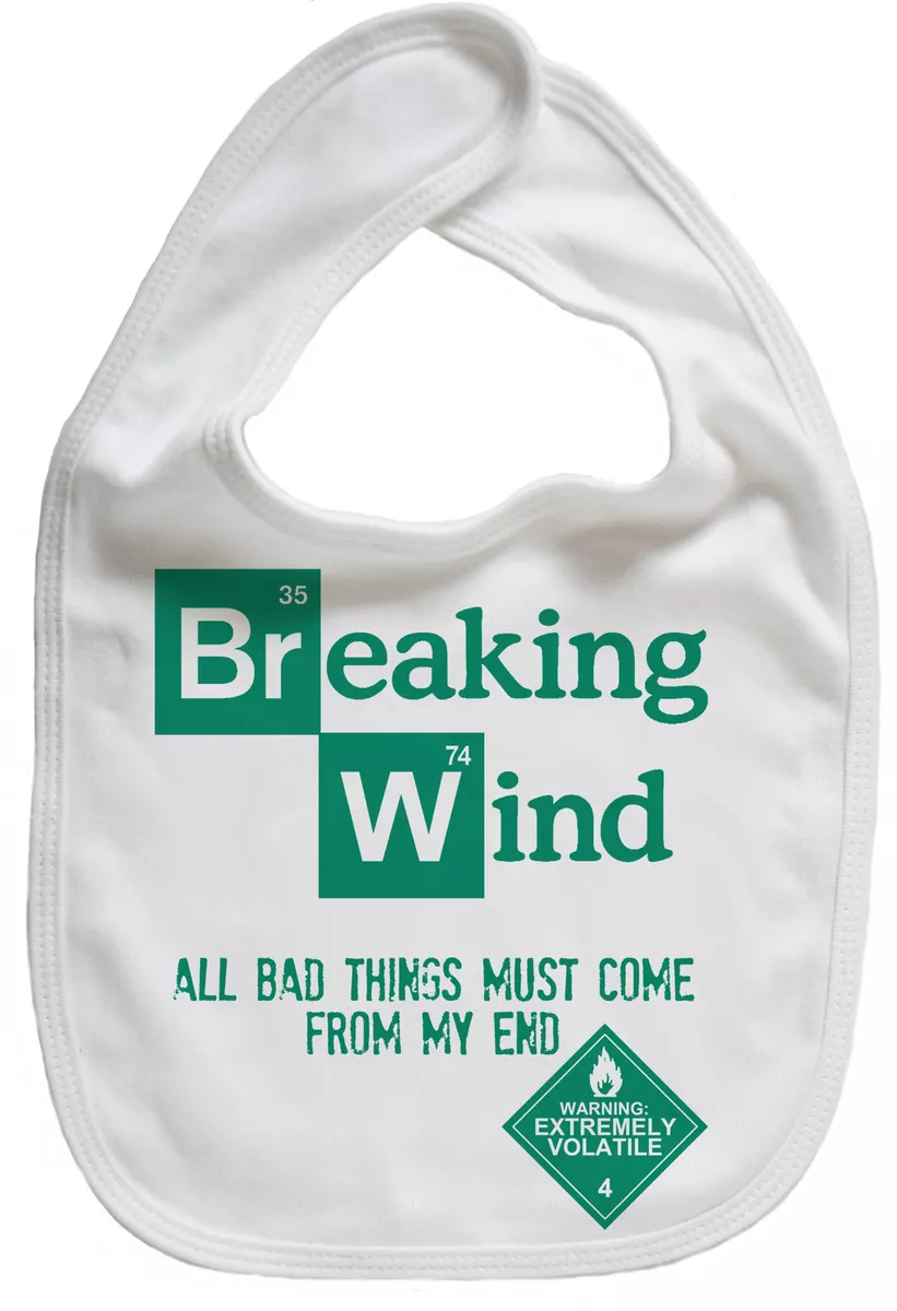 Funny Baby Bib