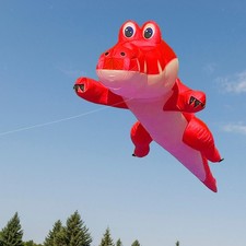 Kite Sturdy Professional Large for Park Outdoor Activities Trips