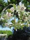 VINTAGE TOLE PAINTED METAL 4 ARM CHANDELIER w PALE PINK FLOWERS  PLUGS IN — photo 3