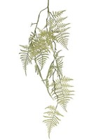 Artplants KüNstlicher Asparagus Plumosus Zweig Uhera, GrüN, 90Cm