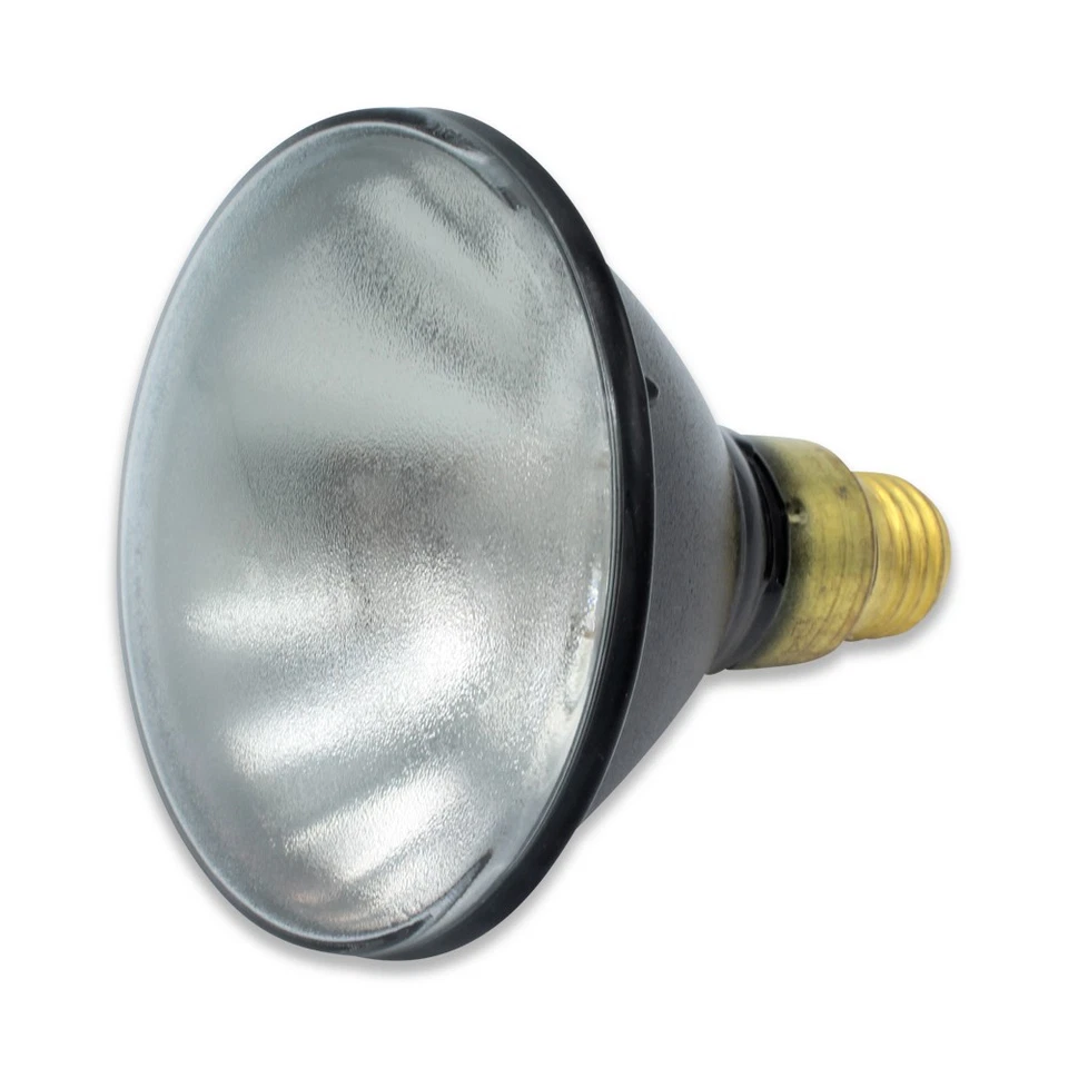 Replacement Bulb for OSRAM SYLVANIA 46135688430 100W - Image 4 of 4