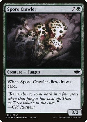 Sporenraupe (222)