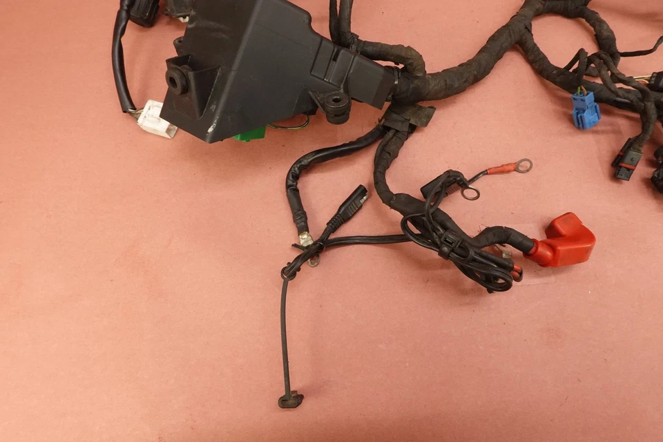 Telar de cableado arnés de cable principal BMW G650 GS G650GS 2005-2010 Foto 4 de 4