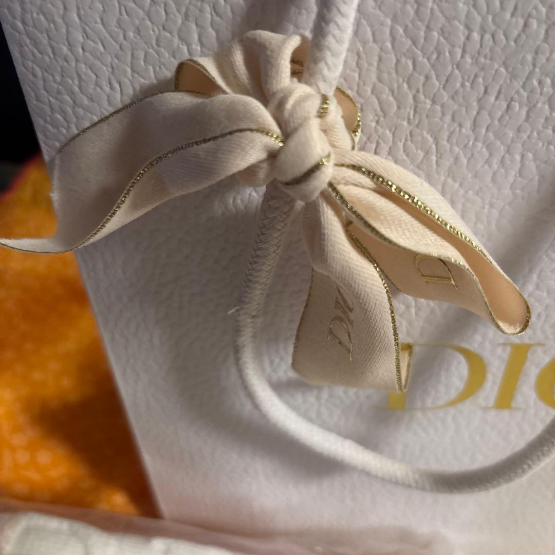 Christian Dior 2025 summer pouch & Towel Set No box from JAPAN New thumbnail 5