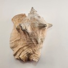Picture 1 of 7