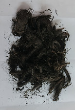 100 gms Spikenard Nardostachys jatamansi Himalaya Perennial Whole Root Herb