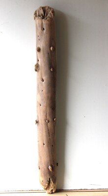 Treibholz Schwemmholz Driftwood  1 XXL Stamm Dekoration Basteln  Lampe  124 cm